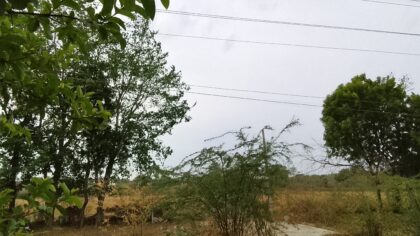 फतहनगर में मौसम का अचानक बदलाव: धूल भरी आंधी के साथ लुढ़का पारा, जनजीवन प्रभावित