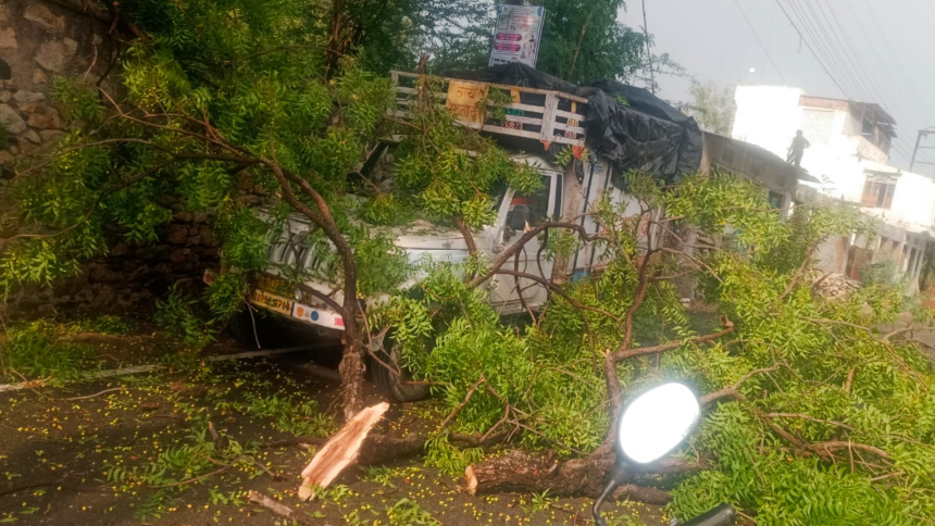 सनवाड़ में आंधी-तूफान का असर, कई स्थानों पर गिरे पेड़, विद्युत व्यवस्था हुई प्रभावित