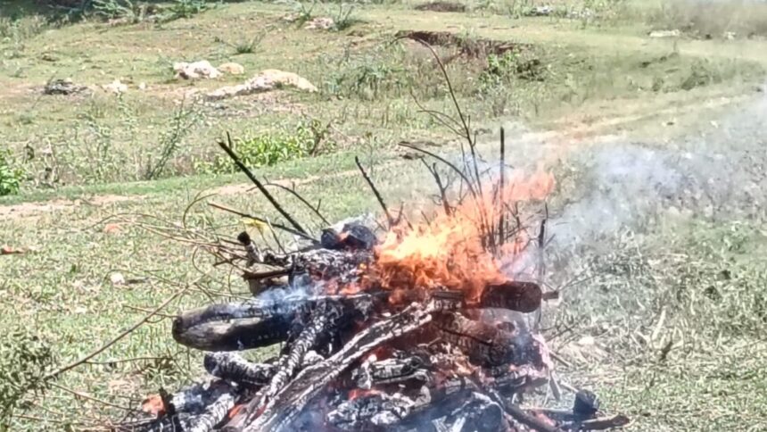 वाहन की चपेट में आने से वानर की मौत, श्रद्धालुओं ने वैदिक रीति से किया अंतिम संस्कार
