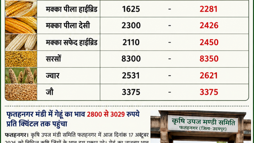 फतहनगर मंडी में गेहूं 3029 और सरसों 8350 रुपये प्रति क्विंटल तक बिकी